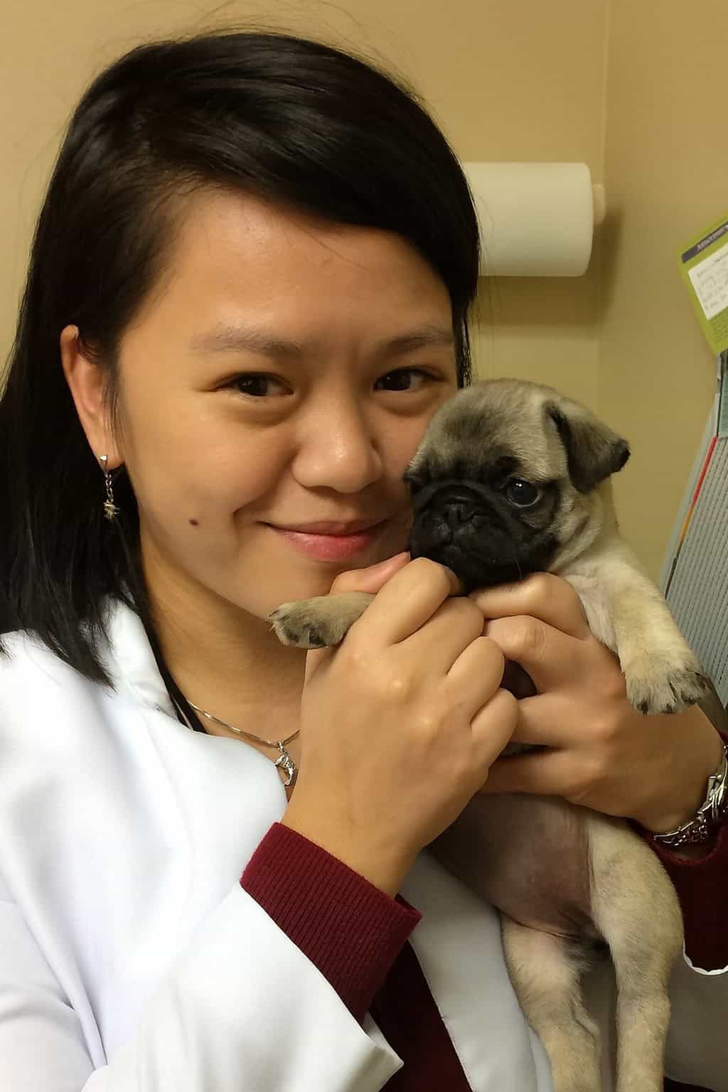 Dr. Lara Cabugawan, Veterinarian & Surgeon at Union Vet