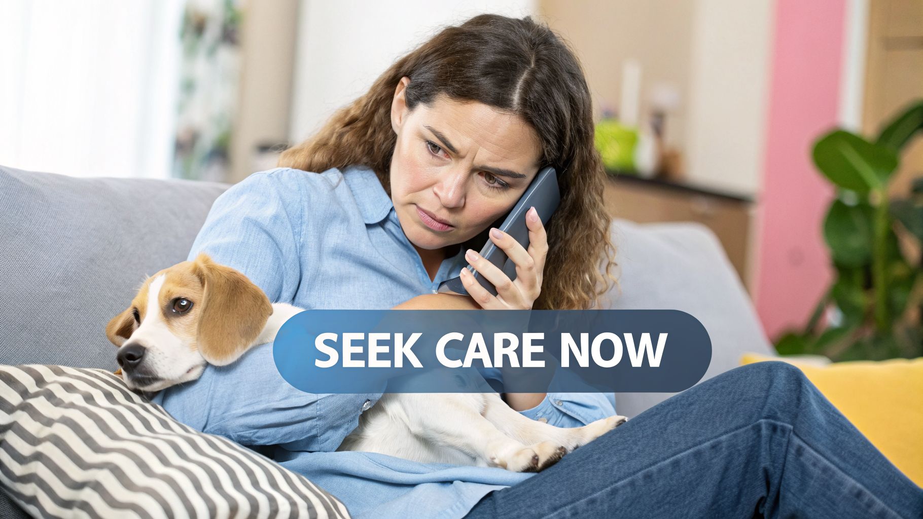 A distressed woman holds her beagle puppy while talking on the phone, with a "Seek Care Now" overlay.