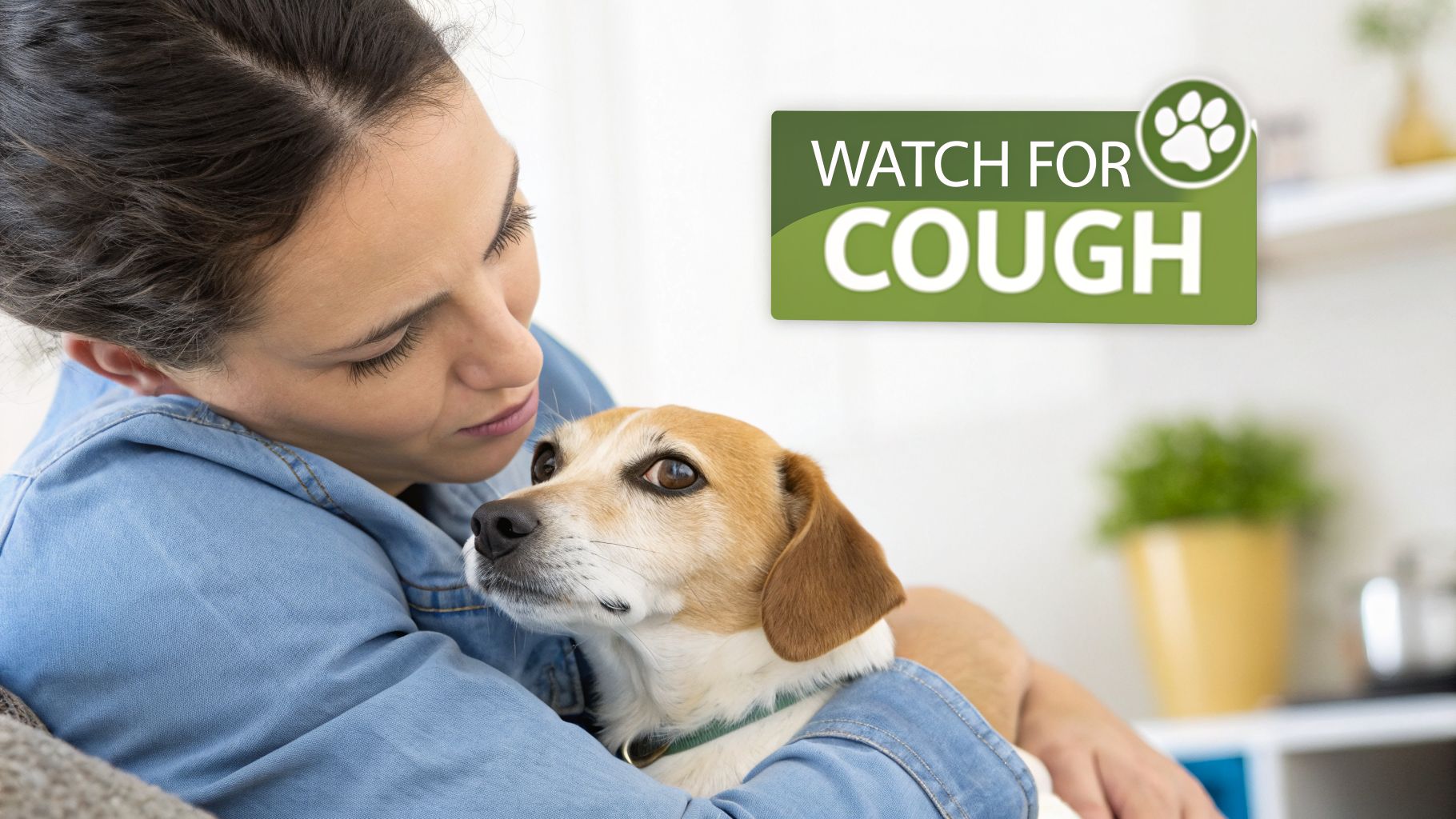 A woman gently hugs a small dog, with a green overlay warning to “WATCH FOR COUGH” and a paw print.