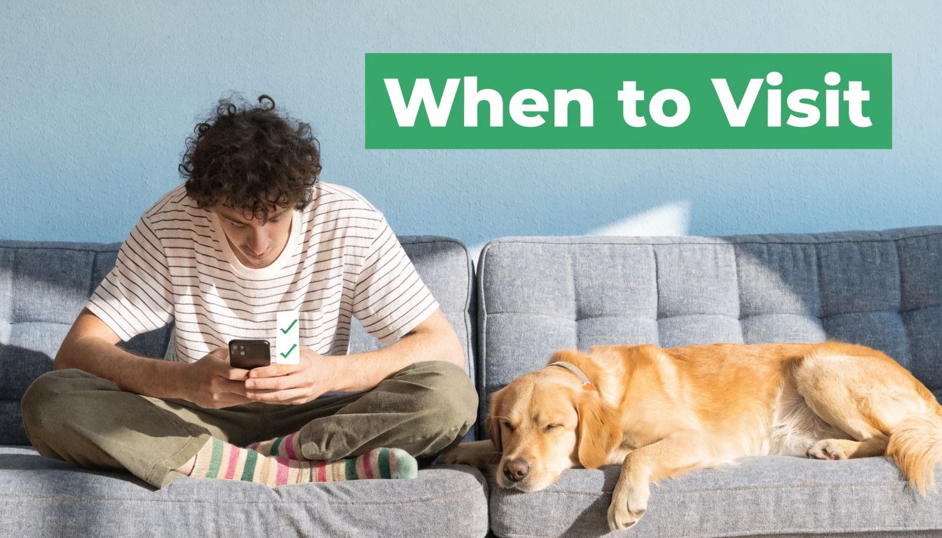 A young man sitting on a sofa looking at his phone next to a sleeping dog.